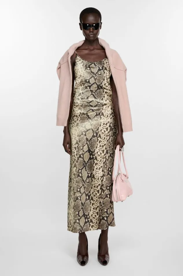 Acne Studios Satin Dress Multi Brown Woman Dresses