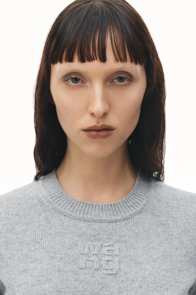 Alexander Wang Sweaters Women Short Sleeve Cropped Pullover