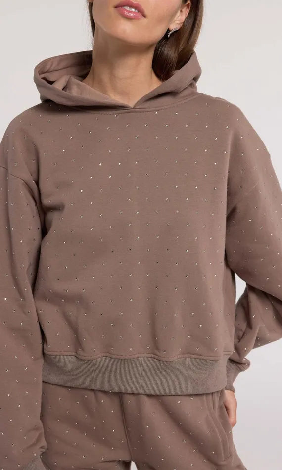 Generation Love Clothing Renae Crystal Hoodie Truffletruffle Women Sweaters and Sweatshirts