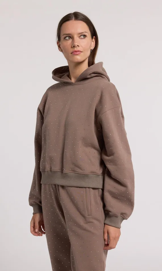Generation Love Clothing Renae Crystal Hoodie Truffletruffle Women Sweaters and Sweatshirts