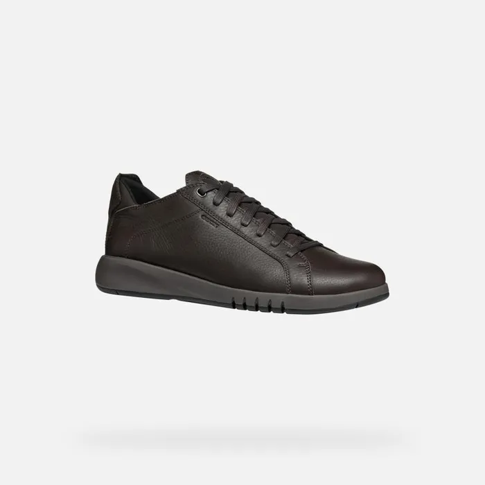 Geox Sneakers AERANTIS MAN Coffee Leather Shoes Coffee 8211 Man