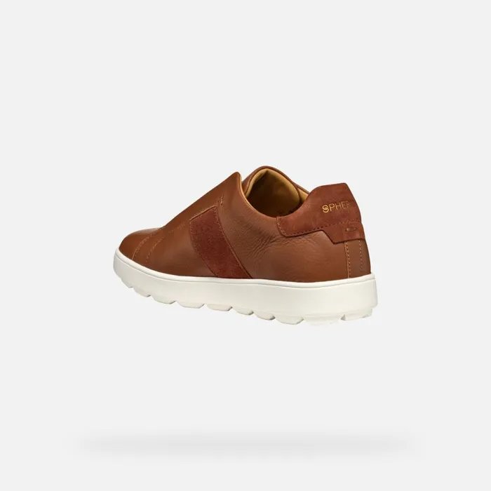 Geox Sneakers SPHERICA ECUB1 MAN Light Brown Low Top Sneakers Light Brown 8211 Man