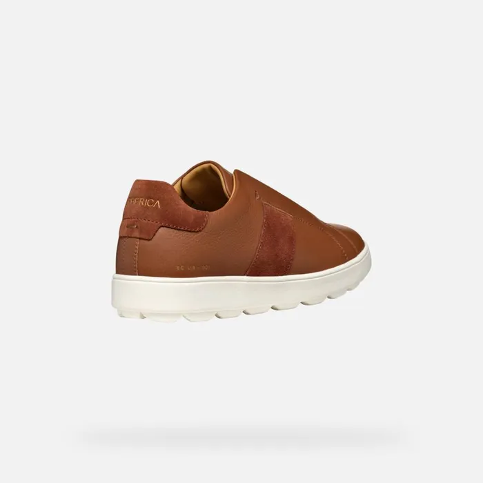 Geox Sneakers SPHERICA ECUB1 MAN Light Brown Low Top Sneakers Light Brown 8211 Man