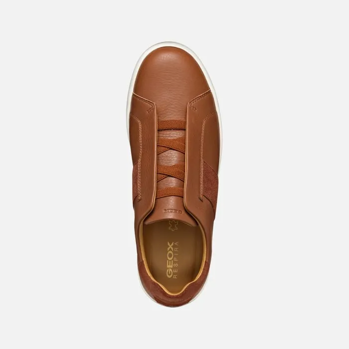 Geox Sneakers SPHERICA ECUB1 MAN Light Brown Low Top Sneakers Light Brown 8211 Man