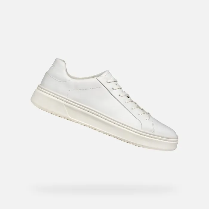 Geox Sneakers ZACKERTY MAN White Low Top Sneakers White 8211 Man