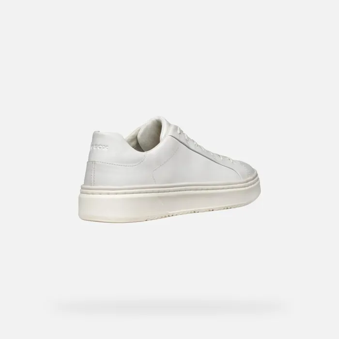 Geox Sneakers ZACKERTY MAN White Low Top Sneakers White 8211 Man