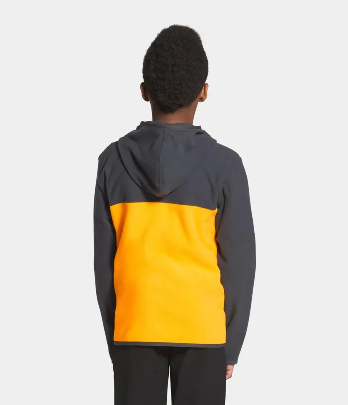 Kids Glacier Full Zip Hoodie Summit Gold The North Face Fleece
