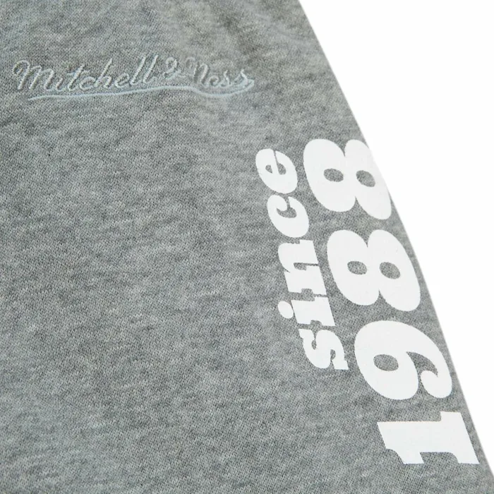 Men039s Pants Mitchell and Ness Team Origins Fleece Pant Charlotte Hornets Men039s Pants Mitchell and Ness Team Origins Fleece Pant Charlotte Hornets