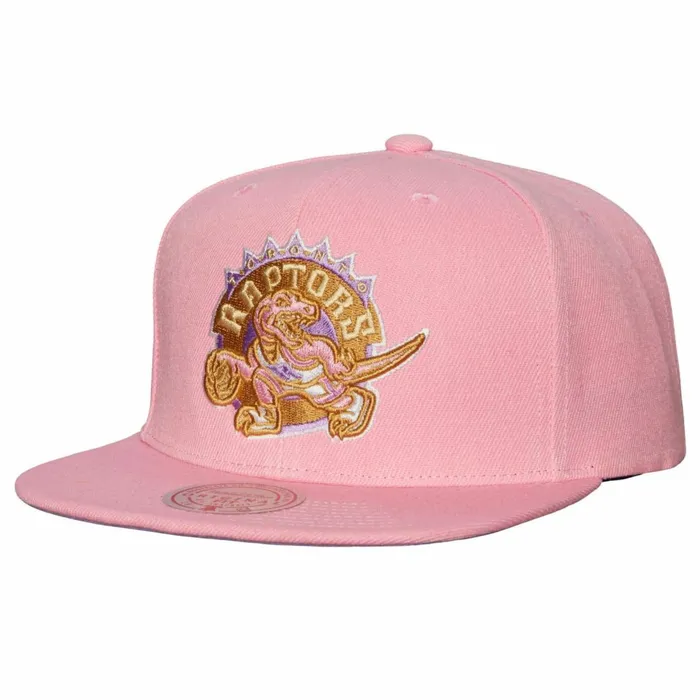 Men039sWomen039s Snapback 1921 Styles Mitchell and Ness Pastel Snapback HWC Toronto Raptors Men039sWomen039s Snapback 1921 Styles Mitchell and Ness Pastel Snapback HWC Toronto Raptors