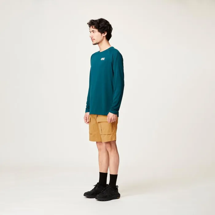 Men ROBUST SHORTS Picture Organic Clothing Shorts