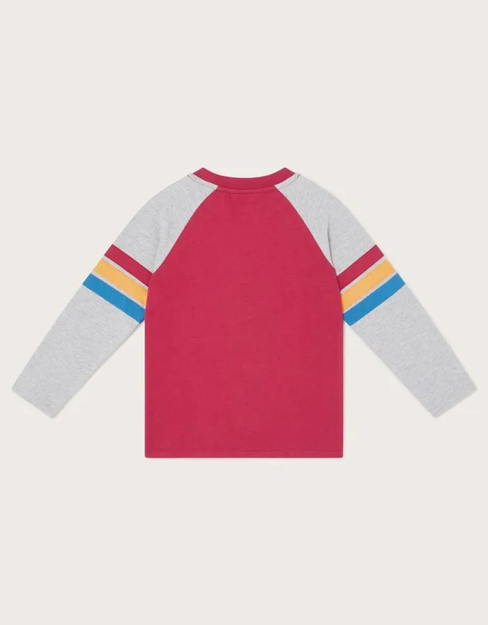 Monsoon Raccoon Raglan TShirt Red Children Tops and Tshirts Monsoon Raccoon Raglan TShirt Red Children Tops and Tshirts