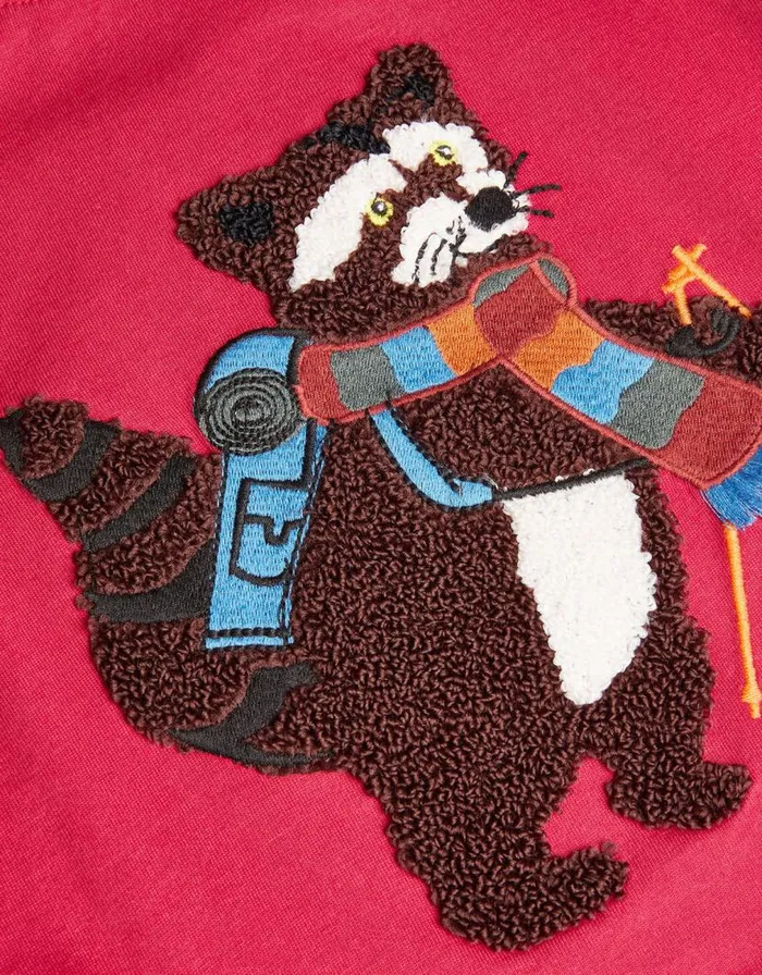 Monsoon Raccoon Raglan TShirt Red Children Tops and Tshirts Monsoon Raccoon Raglan TShirt Red Children Tops and Tshirts