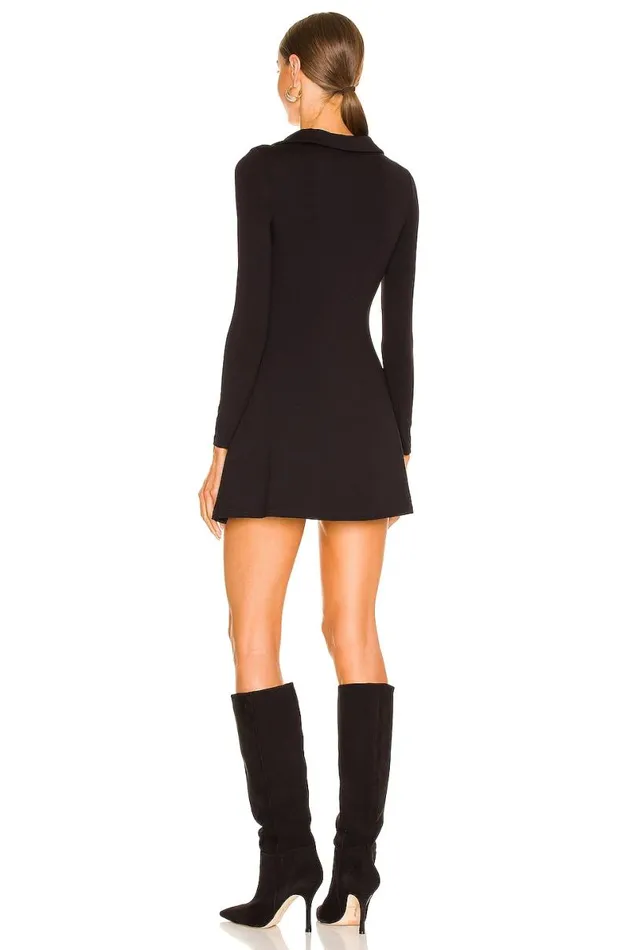 Nova Mini Dress Black Women Lovers and Friends Dresses