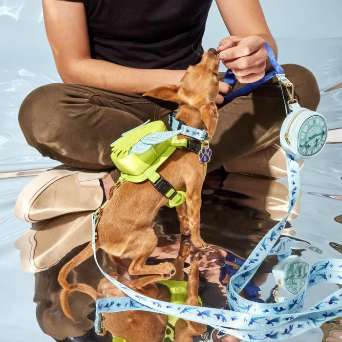 Peter Pan You Can Fly Leash Unisex Loungefly Small Accessories Peter Pan You Can Fly Leash Unisex Loungefly Small Accessories
