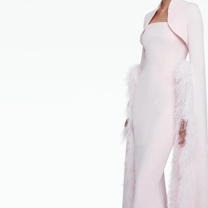 Safiyaa Amari Pale Pink FeatherTrimmed Bolero With Soshin Dress Women Dresses