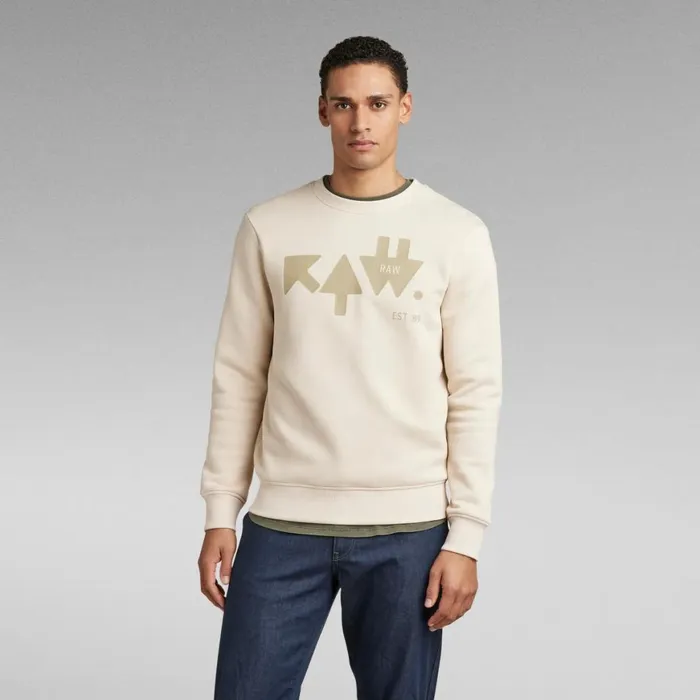 Sweatshirts and Hoodies Men GStar RAW RAW Arrow Sweater Dark Talc