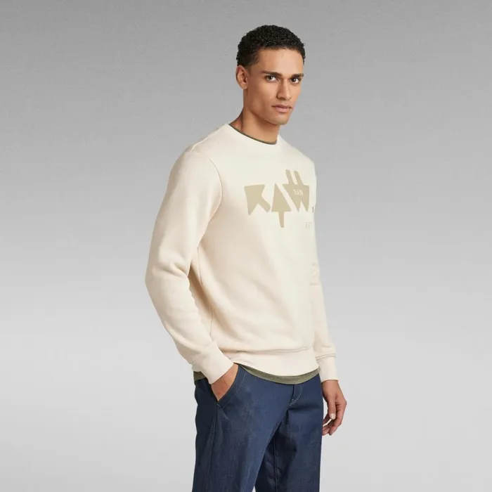 Sweatshirts and Hoodies Men GStar RAW RAW Arrow Sweater Dark Talc