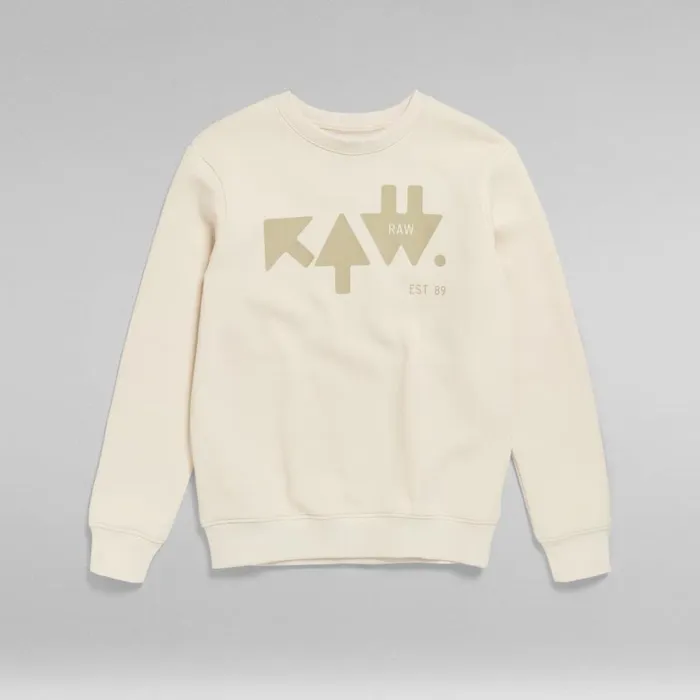 Sweatshirts and Hoodies Men GStar RAW RAW Arrow Sweater Dark Talc