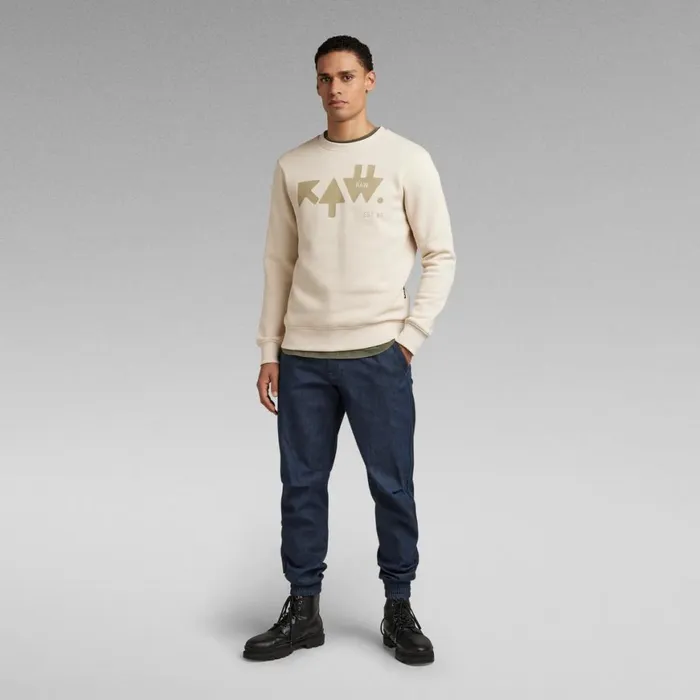 Sweatshirts and Hoodies Men GStar RAW RAW Arrow Sweater Dark Talc