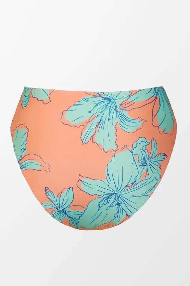 Women Plus Size and Curve Bikinis Cupshe Blooming Flowers Mid Rise Hipster Plus Size Bikini Bottom Multicolor