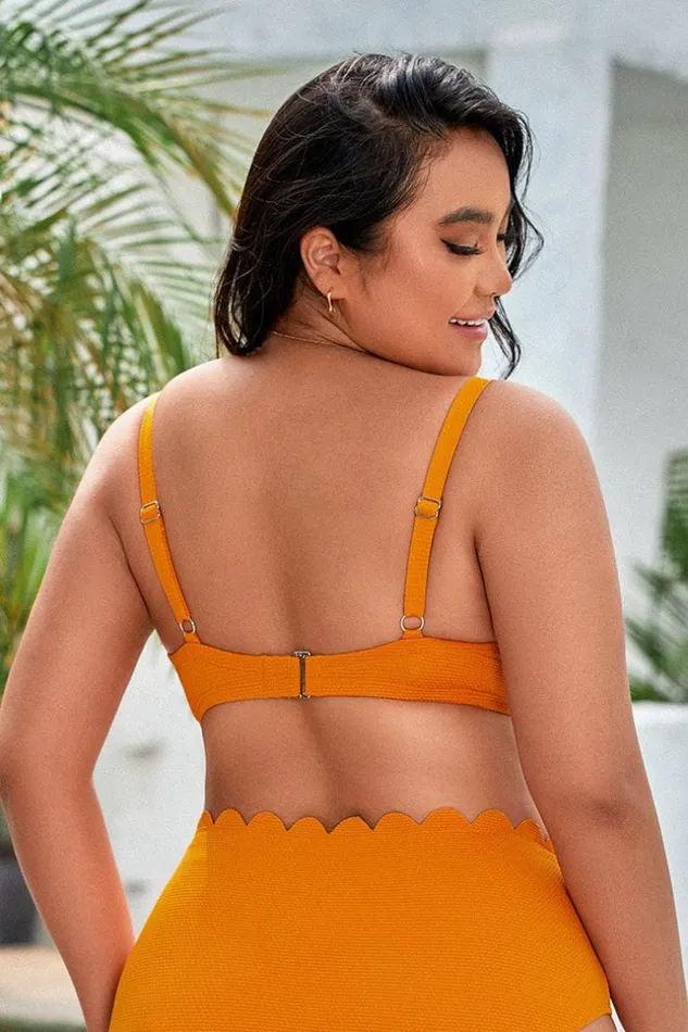 Women Plus Size and Curve Bikinis Cupshe Mayra Scalloped Back Hook Plus Size Bikini Top Orange
